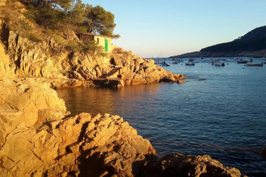 Apartamento Apt. Con Vistas Islas Medas