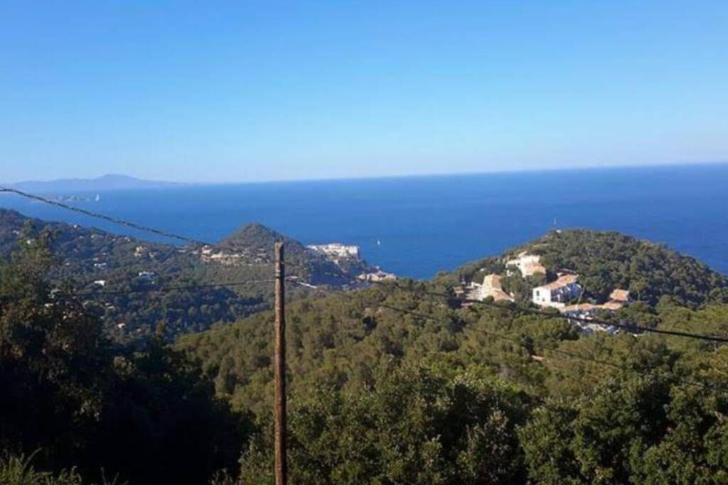 Apt. Con Vistas Islas Medas * Gerona